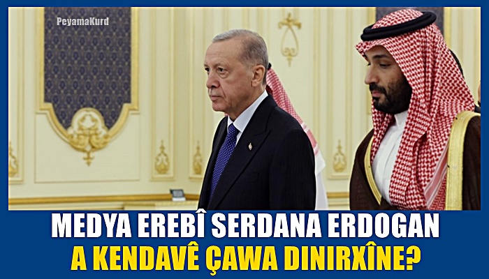 ANALÎZ | ‘Gelo wê Erdogan armancên serdana Kendavê pêk bîne?’